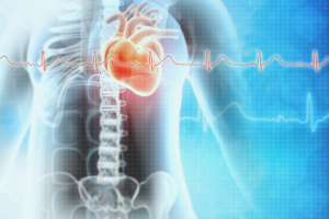 An AI rendering of the human skeletal system and heart beating.