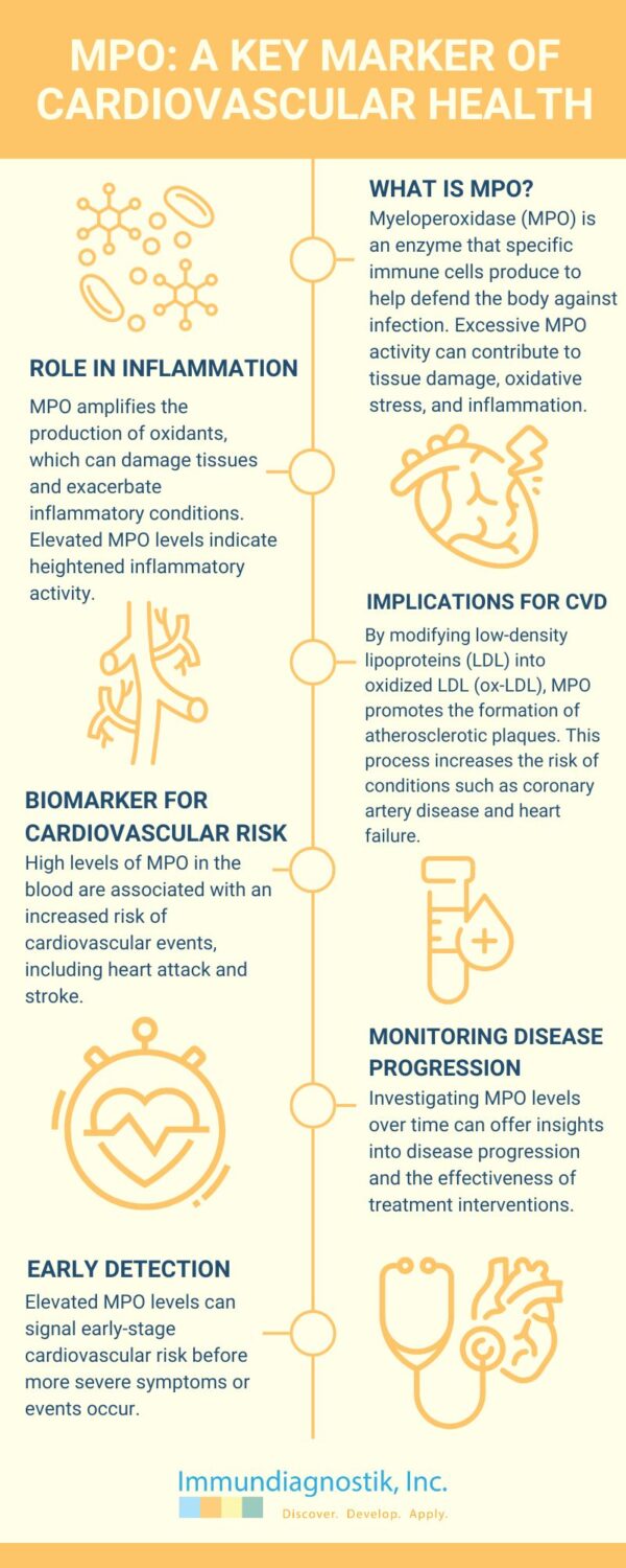 An infographic outlining the benefits of measuring myeloperoxidase to help advance cardiovascular research.